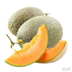 哈密瓜蓉產(chǎn)品綜合指南 價(jià)格、型號(hào)、圖片及預(yù)包裝食品批發(fā)與零售服務(wù)